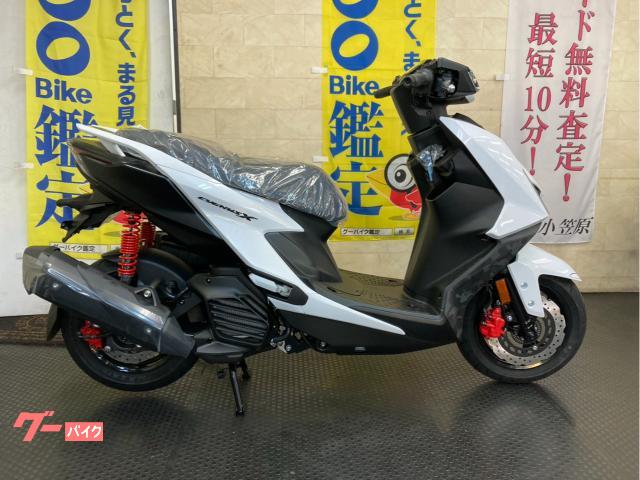 シグナスＸ