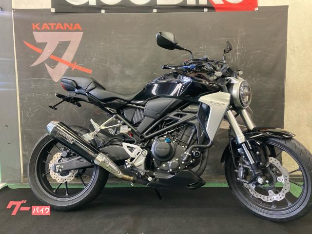 ＣＢ２５０Ｒ　モリワキスリップオン　グリップヒーター　レバーガード　フェンダーレス　ヘルメットホルダー