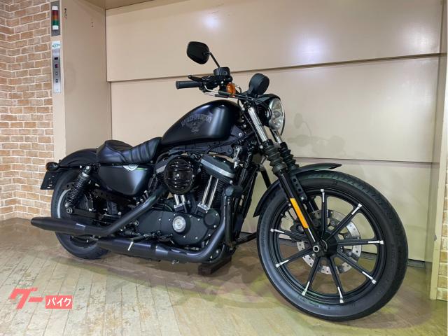 ＸＬ８８３Ｎ　アイアン　２０１６年モデル　マスタッシュガード　サドルバッグ　エボリューションエンジン
