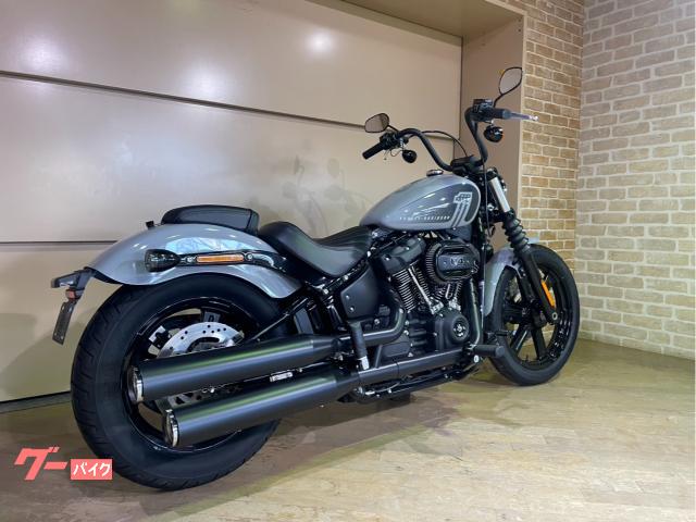 日本製✩新品✩ブルーフォックス＆レッキス✩ハイグレード✩ファーケープ✩マント✩軽 日本製✩新品✩ブルーフォックス＆レッキス✩ハイグレード