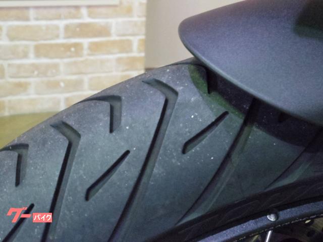 BMW R1300GS ZTM ETC DCC BMW 2025 — миниатюра 5