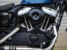 ＨＡＲＬＥＹ－ＤＡＶＩＤＳＯＮ ＸＬ１２００Ｘ　フォーティエイト　ファイナルエディション　２０２２年モデル　ＥＴＣ２．０　ラストエボリューションエンジンの画像（広島県