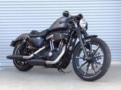 ＨＡＲＬＥＹ−ＤＡＶＩＤＳＯＮ　ＸＬ８８３Ｎ　アイアン　２０１６年モデル　セパハン　ＳＥエアクリ　ケラーマンウインカー　カスタムペグ