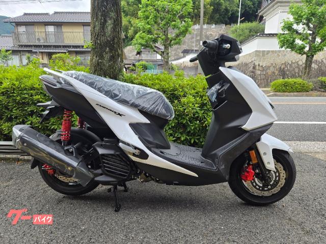 シグナスＸ