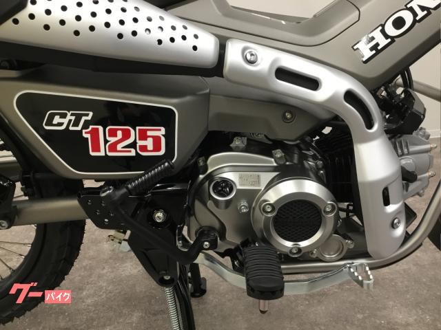 ホンダ ＣＴ１２５ハンターカブ ２０２３年モデル ＪＡ６５ マット