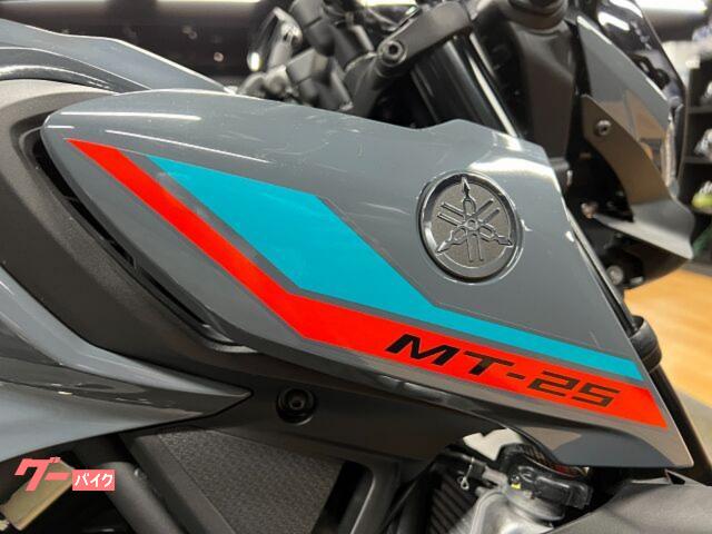 MT-25(2018年式)ヘッドライト・ウィンカー・ミラーセット - メルカリ