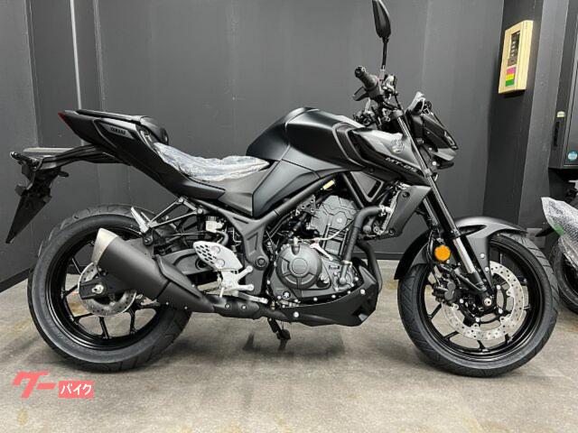 ヤマハ MT-25 2025年モデル ABS アシスト&ス ヤマハ MT-25 2025年モデル ABS アシスト&ス