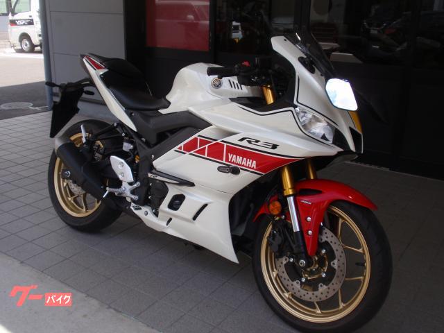 ＹＺＦ−Ｒ３　ＷＧＰ６０ｔｈ
