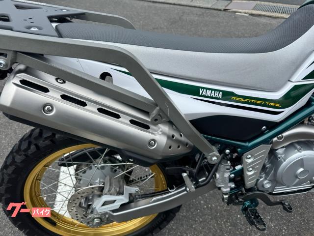 ヤマハ セロー250 ファイナルエディション DG31J ツーリング