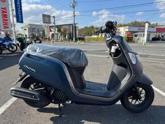 ホンダ　ダンク　　Ｆディスクブレーキ　ＵＳＢ電源　ＬＥＤテールランプ　最終モデル