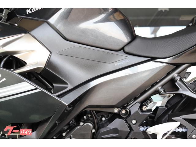 カワサキ Ninja 250 EX250P型 2022年モデル