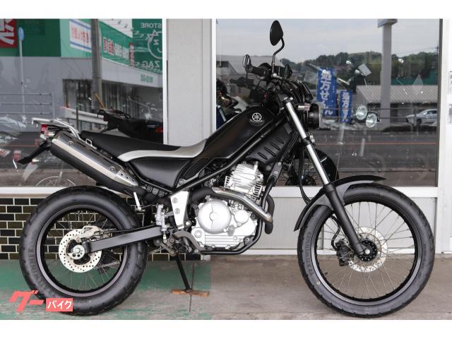 トリッカー　レンサルハンドル　社外ウィンカー　リアキャリア付き