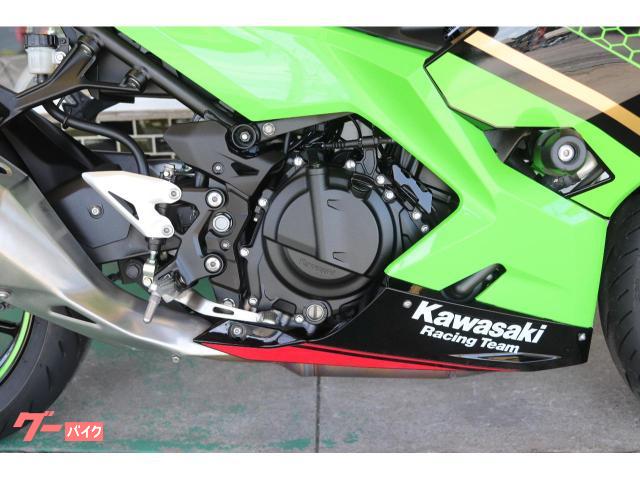 カワサキ Ninja 400 フェンダーレス ナポレオンカウリング