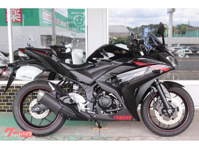 ＹＺＦ−Ｒ２５　ＲＧ１０Ｊ型　２０１５年モデル　ライトカスタム　可倒式社外レバー　マルチバー　メットホルダー付き