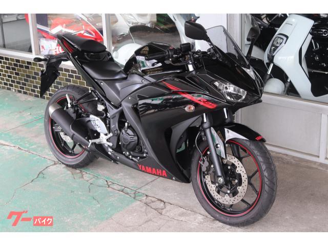 ヤマハ YZF-R25 RG10J型 2015年モデル ライトカスタム ヤマハ YZF-R25 RG10J型 2015年モデル ライトカスタム