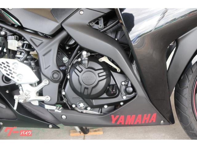 ヤマハ YZF－R25 RG10J型 2015年モデル ライトカスタム