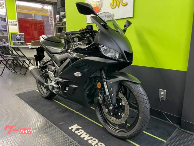 ヤマハ YZF-R25 2019モデル 低走行 カウリングプロテクター装備