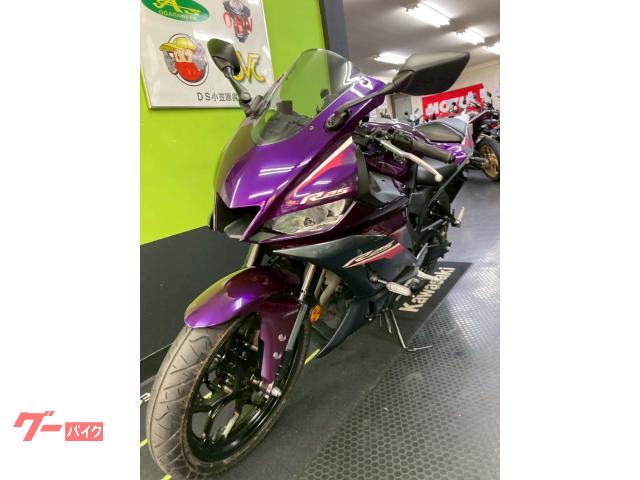 Yamaha YZF-R25 ETC2.0/ — миниатюра 4