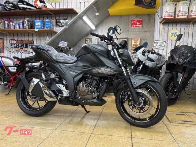 ＧＩＸＸＥＲ　２５０　ＡＢＳ　ＬＥＤ　Ｍ５モデル　現行型