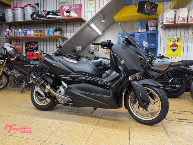 Ｘ−ＭＡＸ２５０　ＡＢＳ　ＬＥＤ　ＥＴＣ　ワイズギアローダウン　マフラー