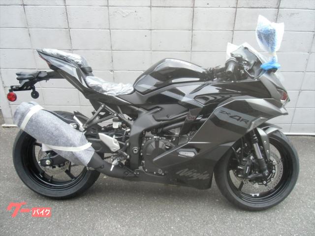 Ｎｉｎｊａ　ＺＸ－４Ｒ　ＳＥ