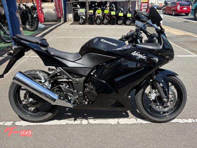Ｎｉｎｊａ　２５０Ｒ　２００８年式　ノーマル　インジェクション　セル付き