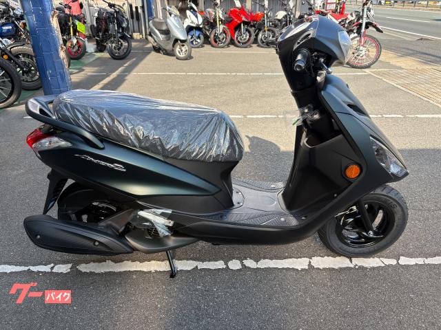 ＡＸＩＳ　Ｚ　２０２５モデル　セル付き　インジェクション