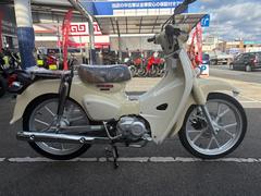 ホンダ　スーパーカブ１１０　Ｌｉｔｅ　２０２５年モデル　新基準原付