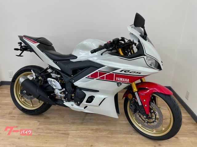 ＹＺＦ−Ｒ２５　６０ｔｈ　ＥＴＣ他カスタムパーツ付き