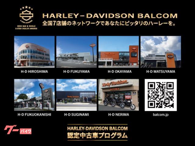 HARLEY-DAVIDSON FXLRS S ETC M8-117 2024 — миниатюра 5