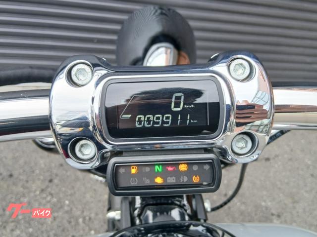 HARLEY－DAVIDSON FXBR ソフテイル ブレイクアウト