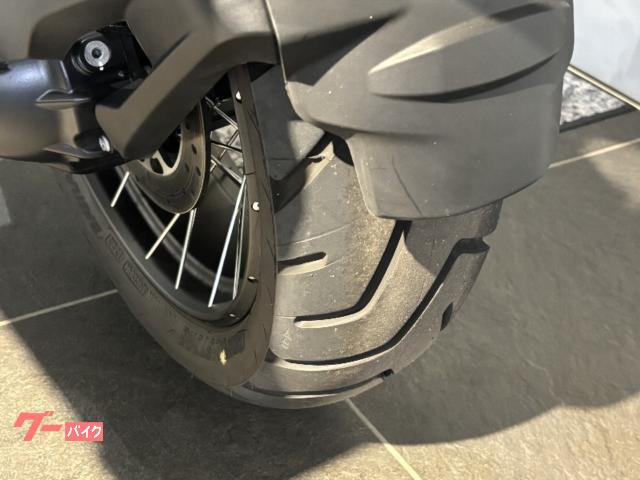 BMW R1250GS Adventure ETC 3 BMW 2024 — миниатюра 6