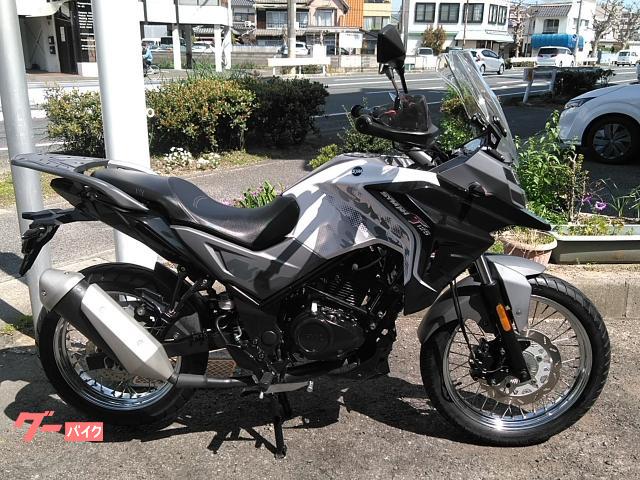 ＮＨ　Ｔ　１２５　ロングスクリーン・ナックルガード装備
