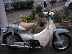 ホンダ　リトルカブ　セル付