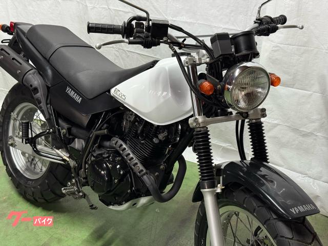在庫処分セール開催　ヤマハ　バイク　TW225E  DG09J 2003年モデル　ノーマル車両　極上車両 TW225E/ヤマハの新車・中古バイクを探すなら｜ウェビック バイク選び