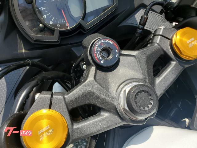 カワサキ Ninja ZX25RSE 限定車 オリジナル