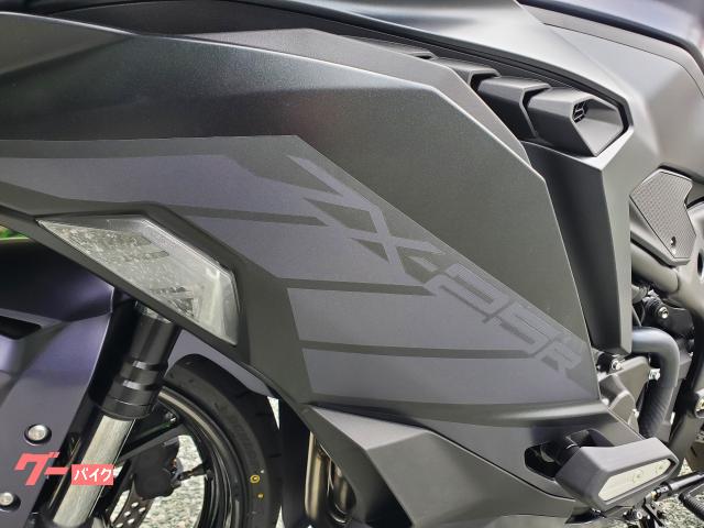 即購入 tayページ Amazon | NINJA ZX-25R ZX-4R ストリート用 バックステップ 金
