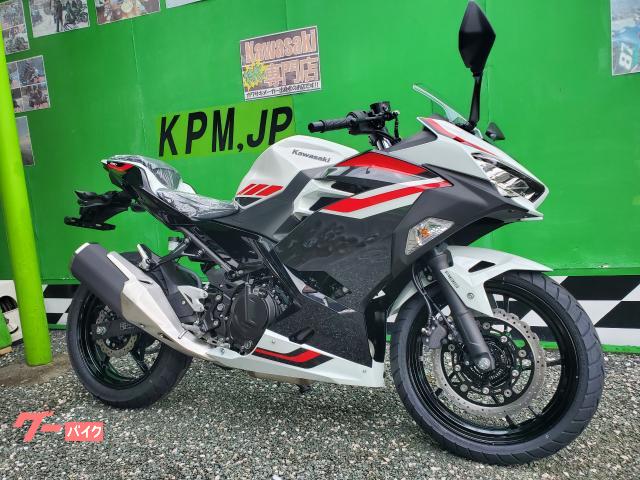 Ninja 250 2027年モデル/ABS/LEDヘッドライト/ギヤポジション/アシスト&スリッパークラッチ