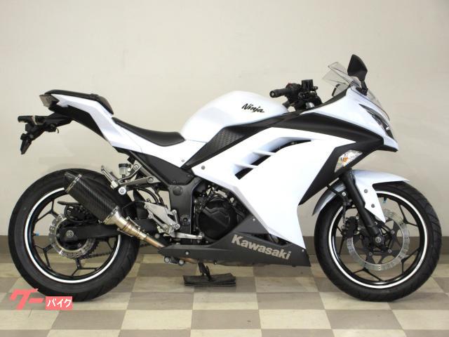 Ｎｉｎｊａ　２５０　ＥＴＣ・ヘルメットホルダー・社外マフラー装備