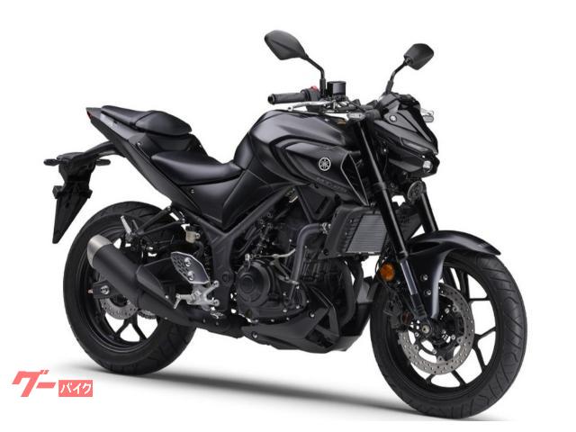 ＭＴ−２５　２０２４年モデル新車　国内正規品