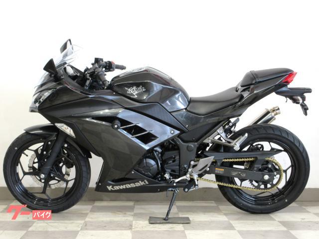 カワサキ Ninja 250 ビームスマフラー フレームスライダー