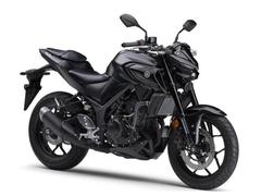 ヤマハ　ＭＴ−２５　２０２４年モデル新車　国内正規品