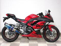 カワサキ　Ｎｉｎｊａ　２５０ＳＥ　ＡＢＳ・ＥＴＣ・ＢＥＥＴマフラー・スライダー装備