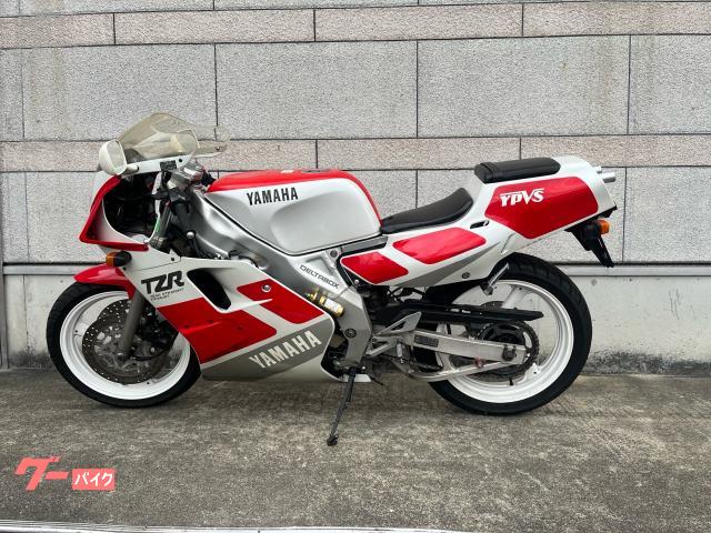 ＴＺＲ２５０