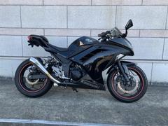 カワサキ　Ｎｉｎｊａ　２５０