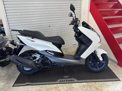 ヤマハ　マジェスティＳ　ＥＴＣ　グリップヒーター