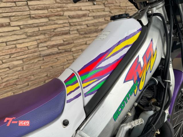 ヤマハ TY250Zスコティッシュ キャブ車 ホワイト｜インディーズ