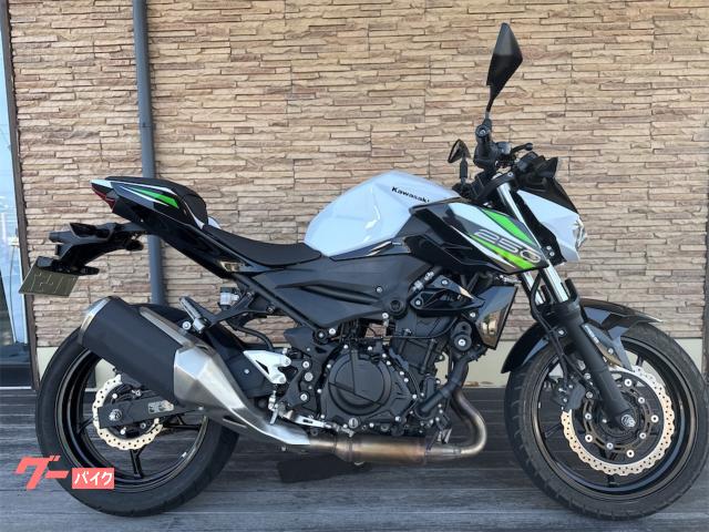 Ｚ２５０