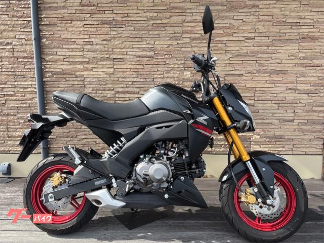 Ｚ１２５ＰＲＯ