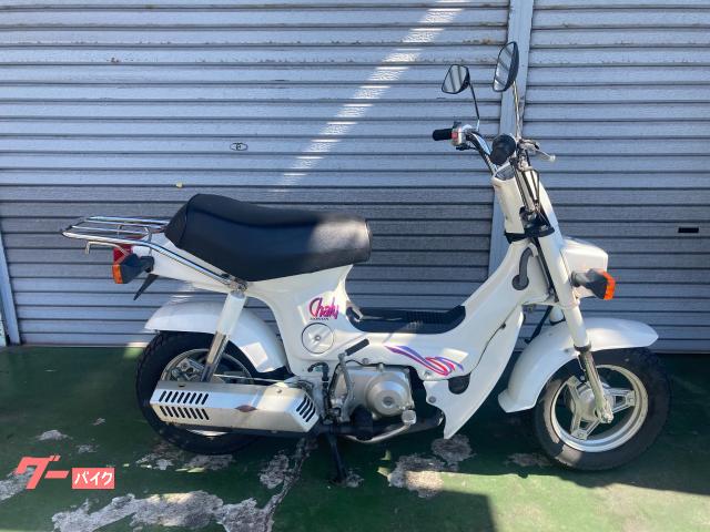 シャリー５０　ノーマル